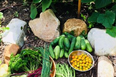 Can you handle the abundance of recovery?