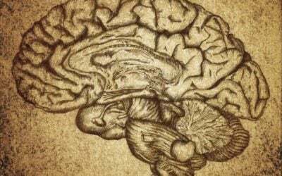 Nature vs. Nurture in the Etiology of Mental Illnesses: Implications for Residential Treatment