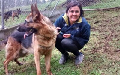 Psychiatric Service Dogs vs. Emotional Support Dogs