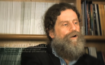 Nature vs. Nurture: a fascinating film clip about how both genetics and environment make us who we are?